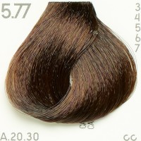 Tint Piction XL hairconcept 5.77-Light Brown Intense Brown