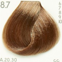 Tint Piction XL hairconcept 8.7-Light Brown Blonde