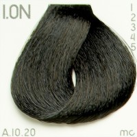 Teinte Piction XL hairconcept 1.0 N-Noir Naturel