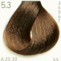 Piction XL hairconcept 5.3 Dye-Brun Doré Clair