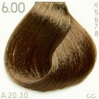 Dye Piction XL hairconcept 6.00-Blond Foncé Naturel Froid