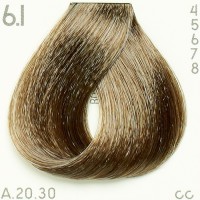 Dye Piction XL hairconcept 6.1-Frêne Blond Foncé