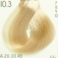 Piction XL hairconcept 10.3 Dye-Golden Platinum Blonde